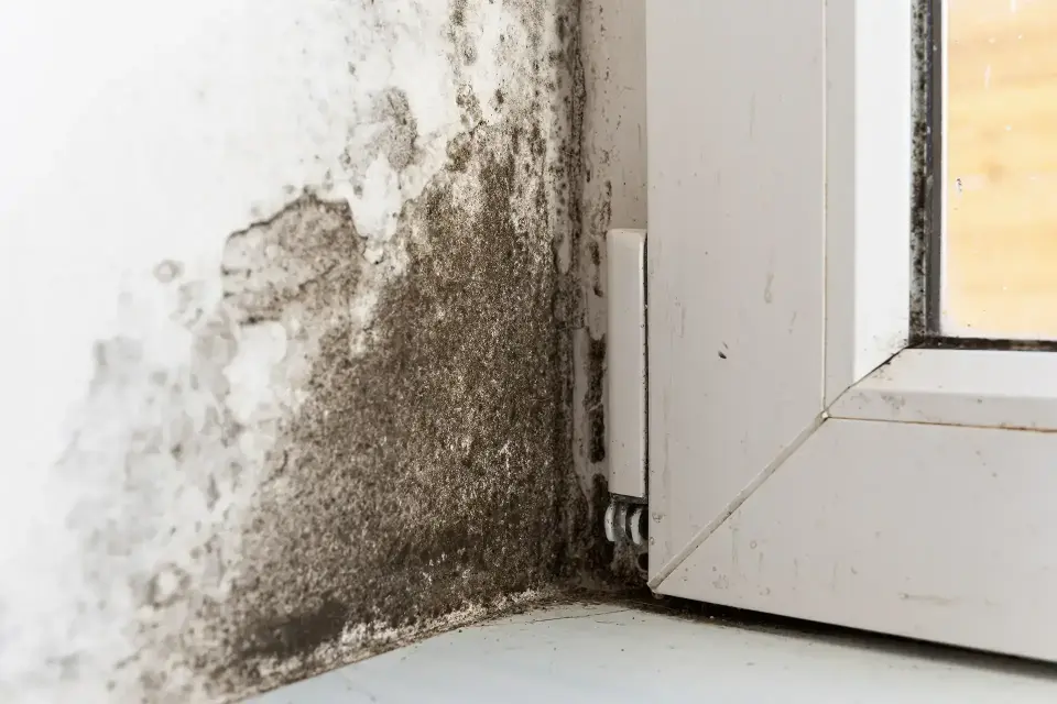 water damage restoration in Casa Blanca, AZ