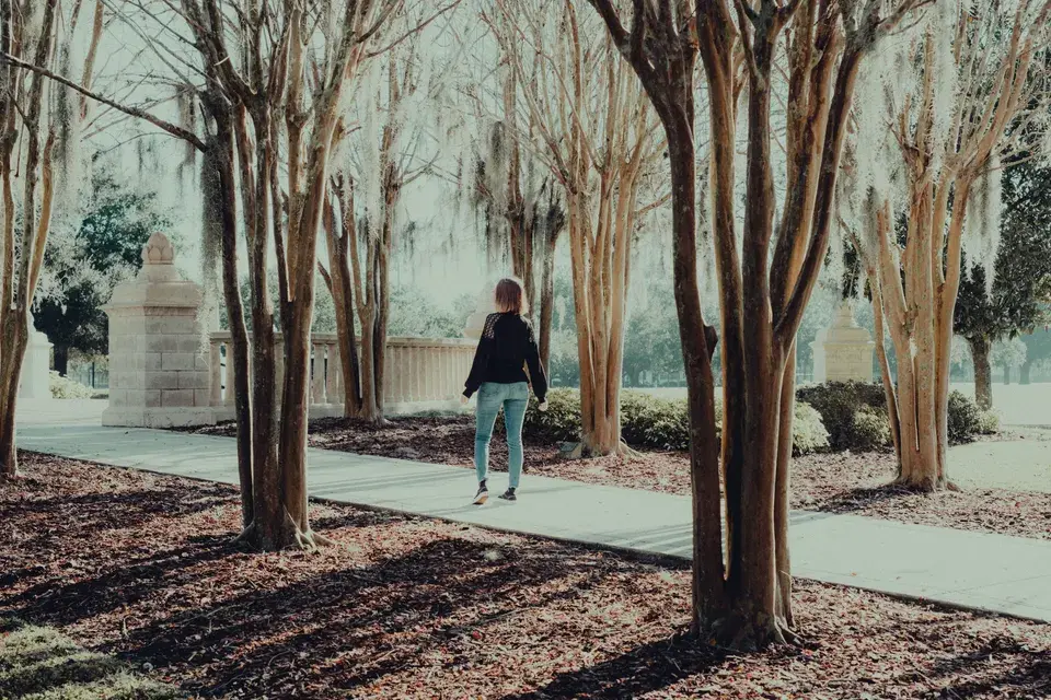 Local Expertise in the Tempe Community — Tempe, AZ